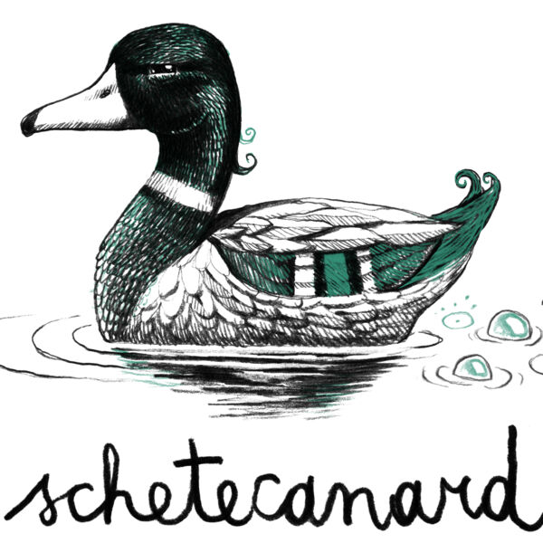 Schetecanard Thumbnail