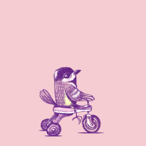 Pimpelfiets (kids) Design