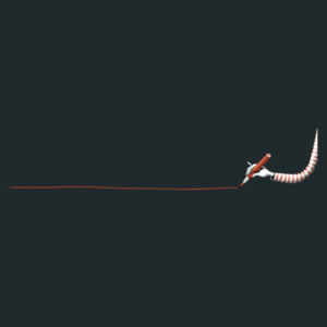Red line Design