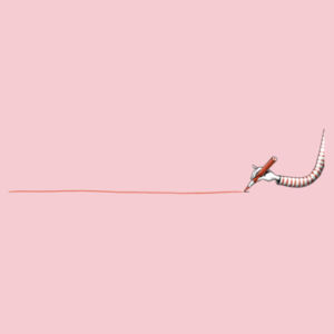 Red line Design