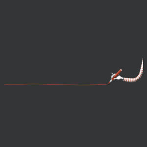 Red line Design