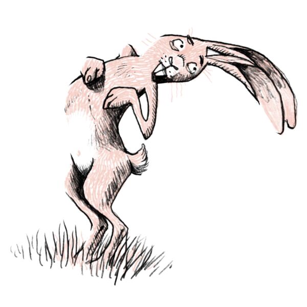 Krommenaas - chest - wit Thumbnail